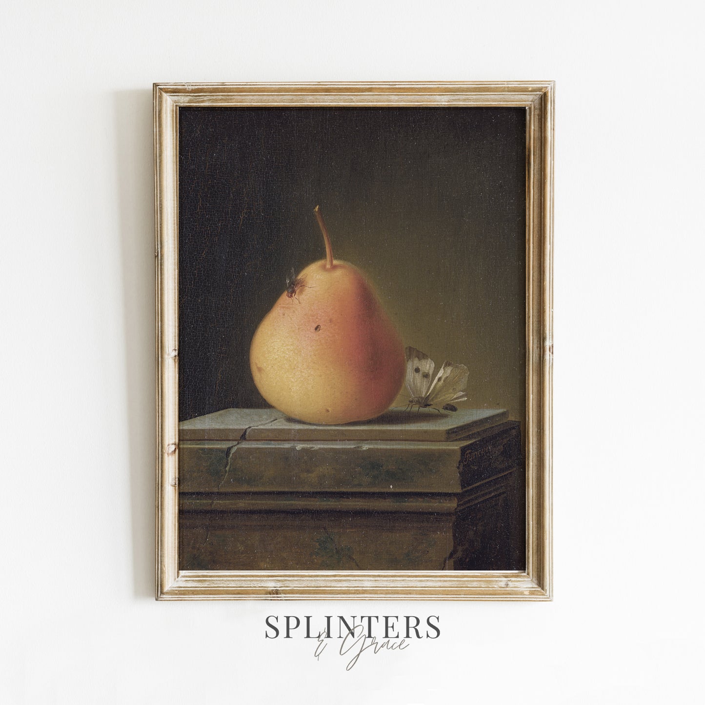 1513. Still Life Pear