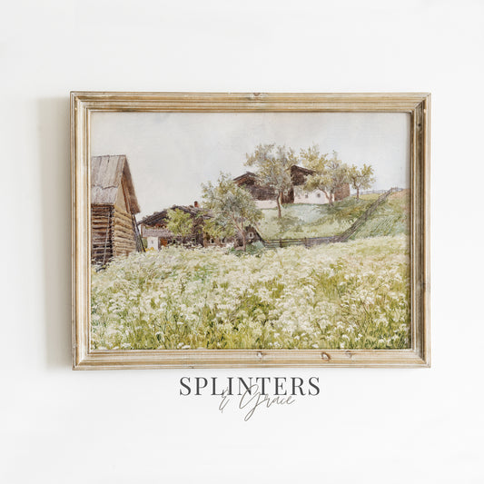 1527. Farm houses and Blooming White Fields