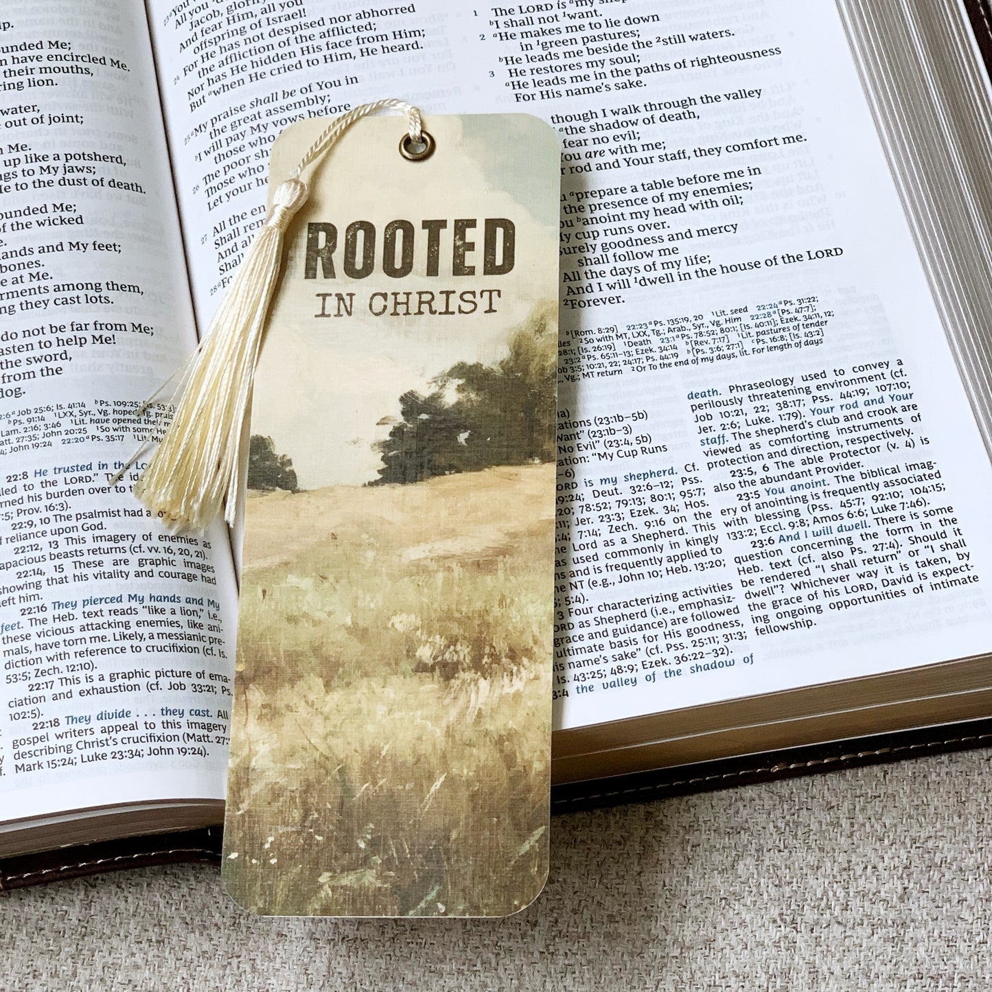 004. Rooted in Christ