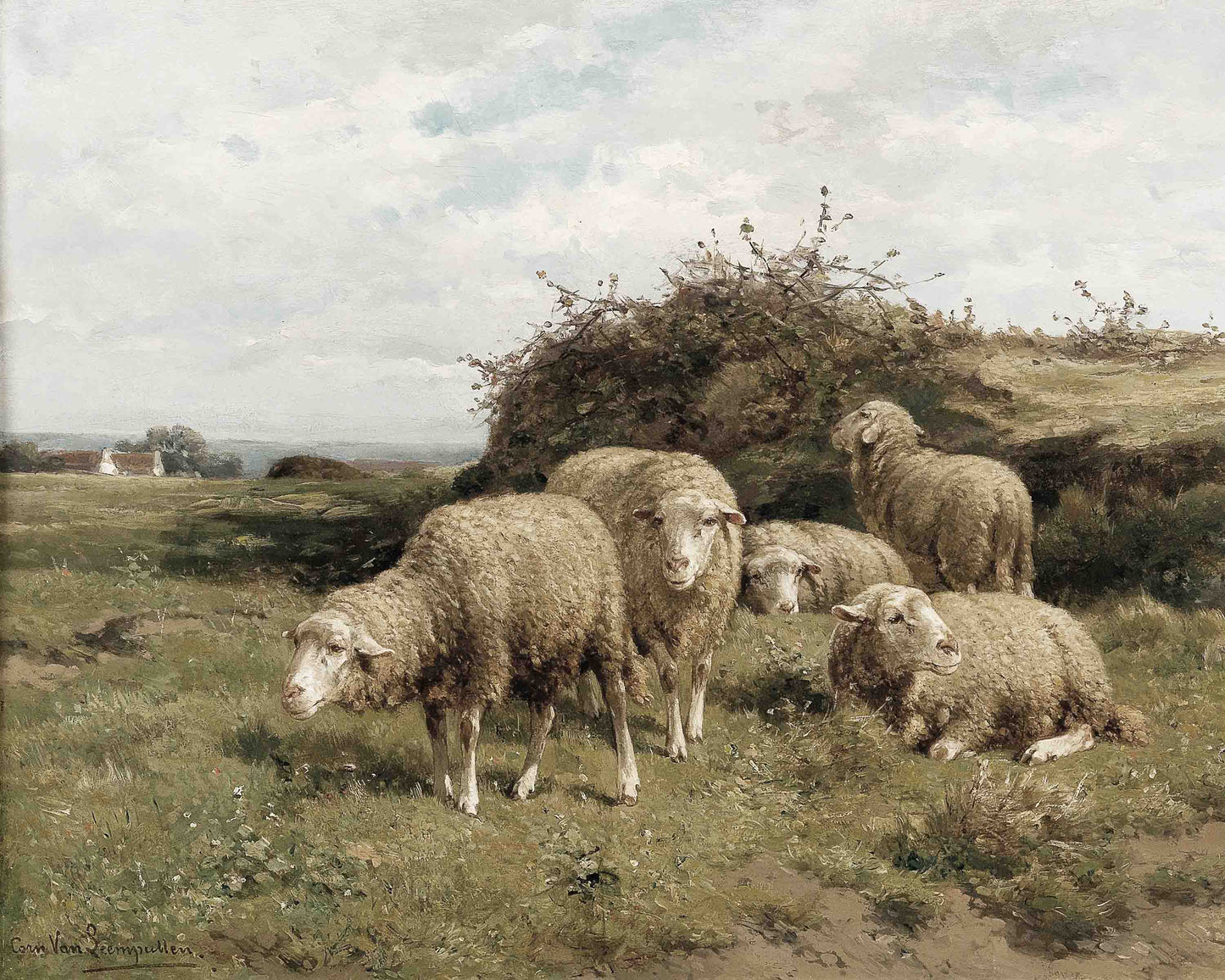 118. Sheep in Pasture