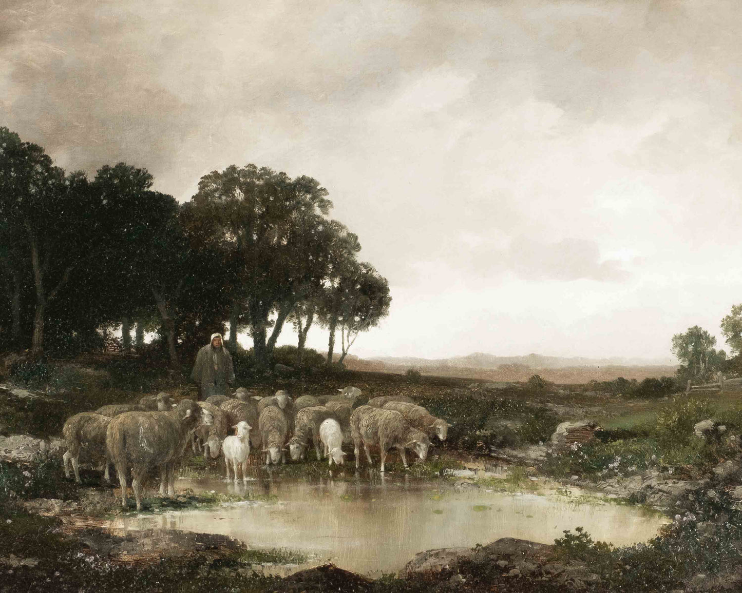 12. Sheep At The Water