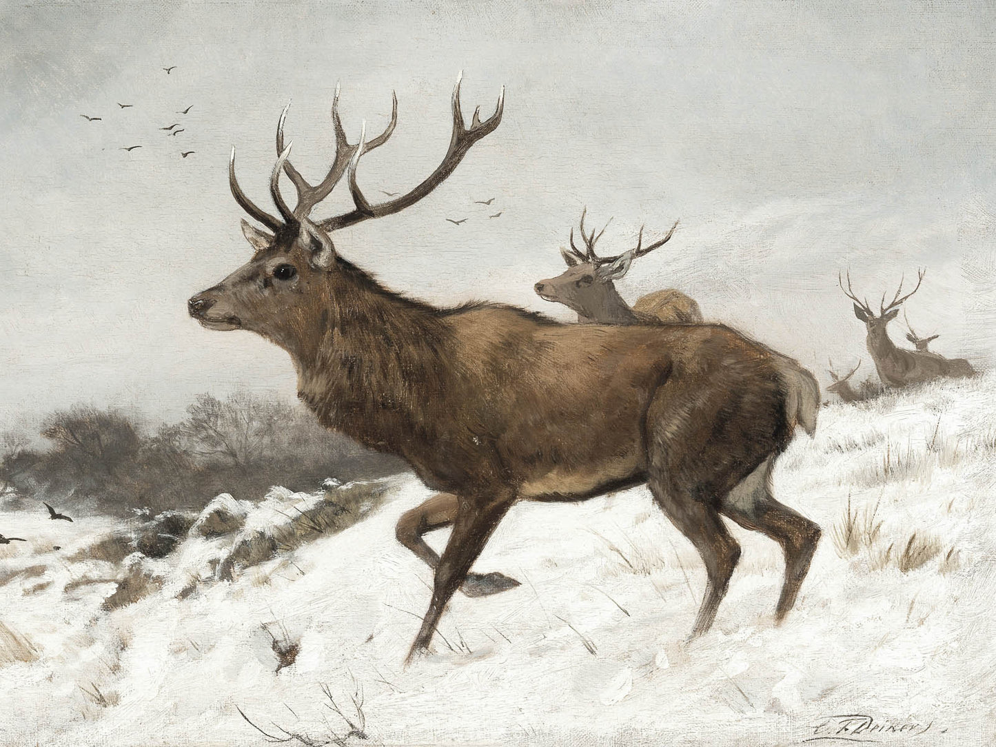 842. Stags in the Snow