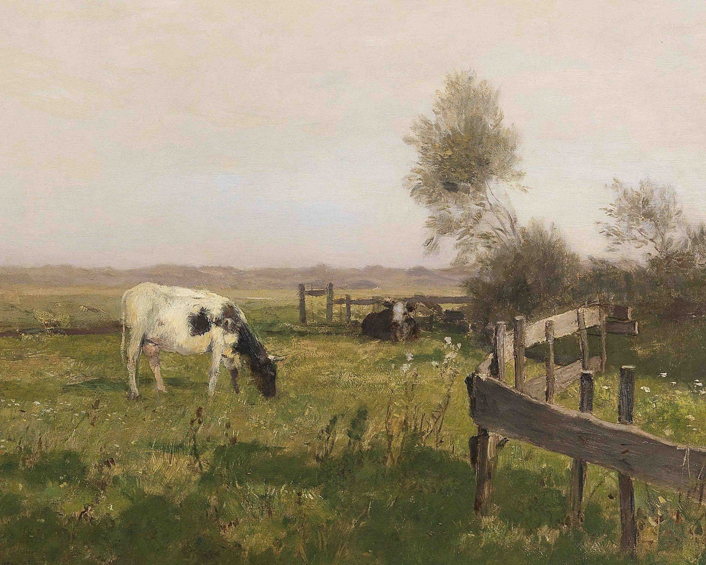 119. Cattle Grazing